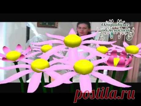 Комнатные растения. Уничтожение мошек. Подкормка комнатных растений - YouTube