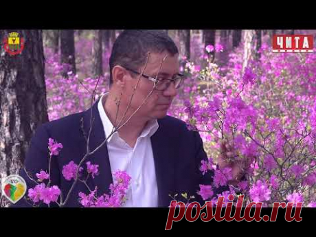 Забайкалье, моё Забайкалье...
