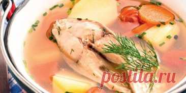 ДОНСКАЯ УХА