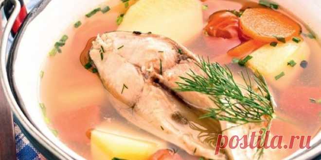 ДОНСКАЯ УХА