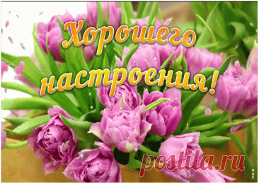 Хорошего желаю настроения,
Пусть дарит позитив этот денек!
Желаю, чтобы каждое мгновение
Несло тебе лишь радости поток! открытки хорошего настроения