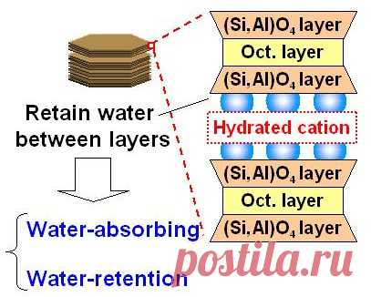 Geopolymer/Vermiculite Composite | Objective and Strategy: We prepared a water-retentive material of geopolymer / vermiculite at room temperature which has high water absorption and its slow releasing ability. | Results: The geopolymer / vermiculite composite showed water absorption of 60% and retaining the water for 7 days. By addition of vermiculite the water-retentive material showed higher intensity...﻿