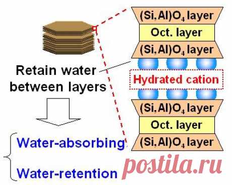 Geopolymer/Vermiculite Composite | Objective and Strategy: We prepared a water-retentive material of geopolymer / vermiculite at room temperature which has high water absorption and its slow releasing ability. | Results: The geopolymer / vermiculite composite showed water absorption of 60% and retaining the water for 7 days. By addition of vermiculite the water-retentive material showed higher intensity...﻿