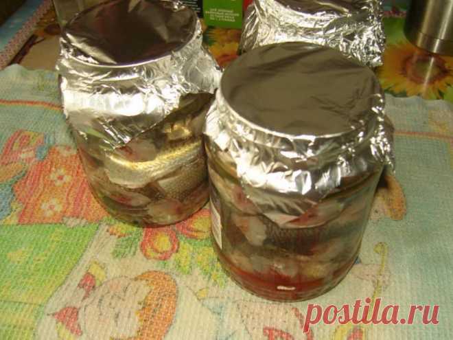 Консервы из речной рыбы в масле и томате