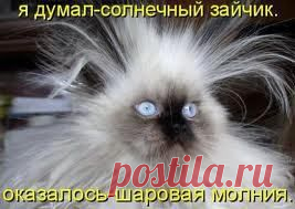 Мой Мир@Mail.Ru