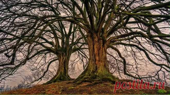 Любите родную природу!