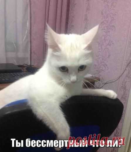 Когда сообщают, что твоя машина говно / Только машины