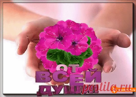 (49) Одноклассники