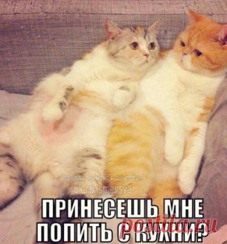 Ответ на вопрос: &quot;Зачем нужен любимый человек?!&quot;