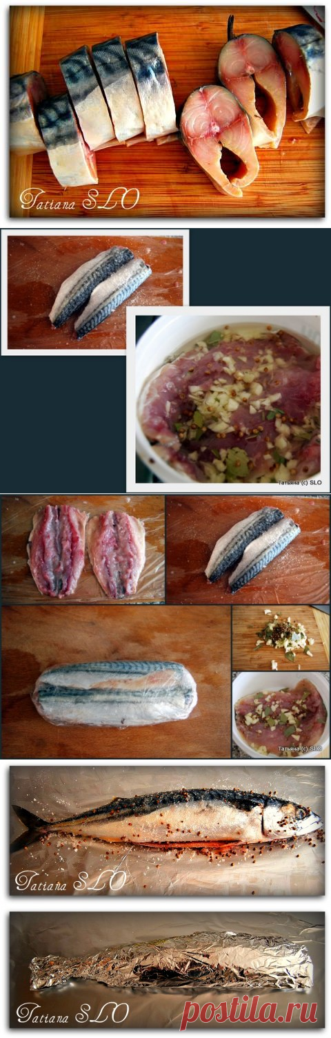 Засолка скумбрии. 2 варианта