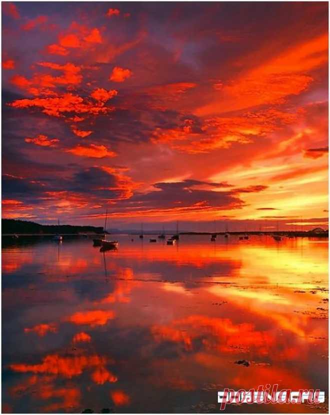 Шотландия - Google+
