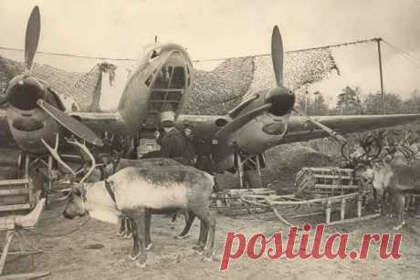 Советский Союз объединил много наций и народностей, очень разных по уровню развития и культуры. По этой причине советское государство делило народы на более и менее лояльные к нему, а также на более и менее подготовленные к действиям в современной войне.