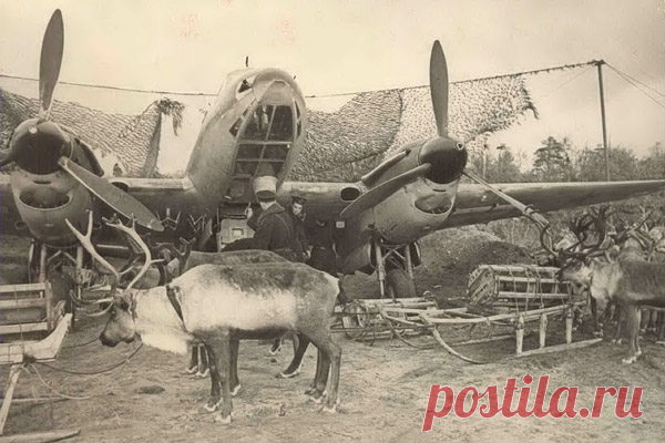 Советский Союз объединил много наций и народностей, очень разных по уровню развития и культуры. По этой причине советское государство делило народы на более и менее лояльные к нему, а также на более и менее подготовленные к действиям в современной войне.