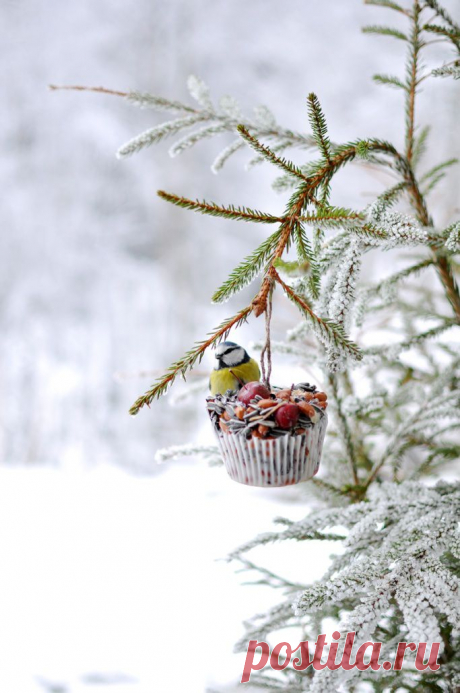 Inspiring &amp; Dreamy : Photo