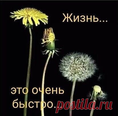 Настроение>Мысли вслух,,,,,,