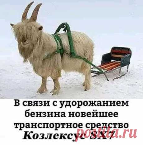 ))
