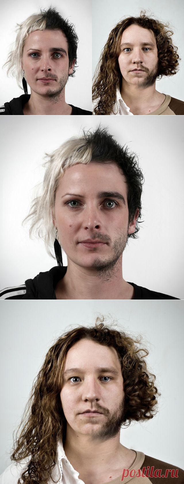 Генетические портреты | Записи Интересные события и факты | УОЛ