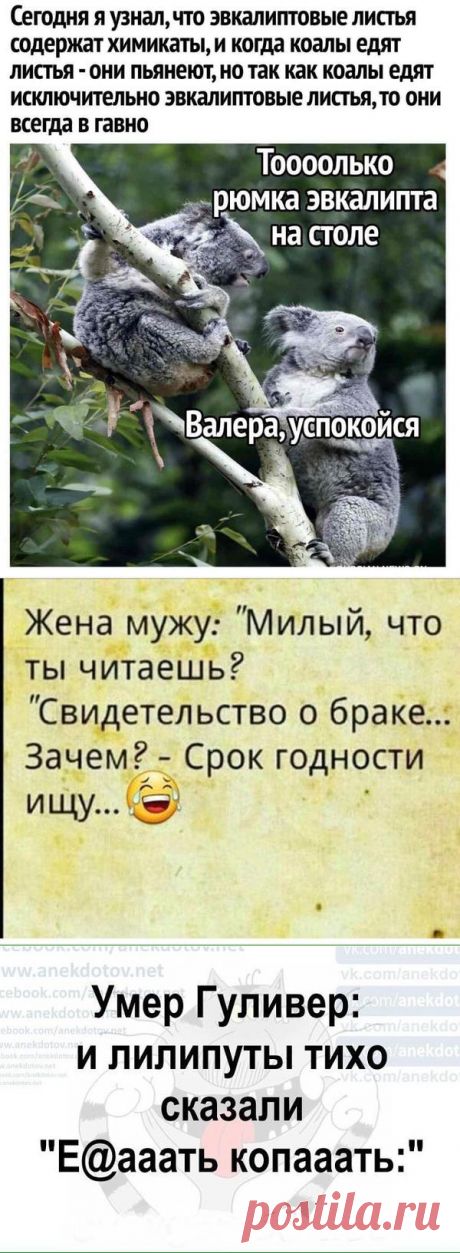 Анекдот дня - 21. Вот так, шутками-прибаутками мы встречаем ВЕСНУ и сами РАСЦВЕТАЕМ! ;) - страница 24