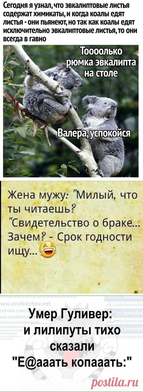 Анекдот дня - 21. Вот так, шутками-прибаутками мы встречаем ВЕСНУ и сами РАСЦВЕТАЕМ! ;) - страница 24