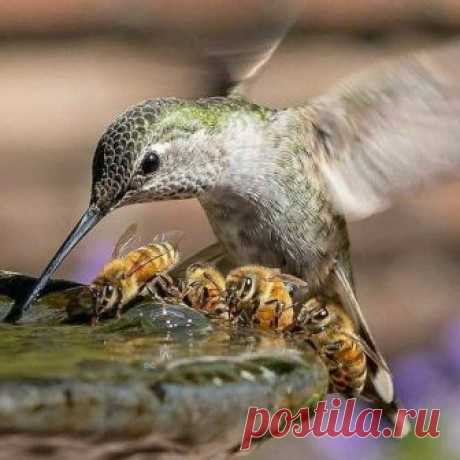 (9) INature - Фото