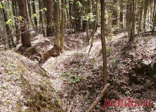 Древнее городище в Калужской области Сотрудники отдела науки национального парка Угра выявили новый памятник археологии – древнее городище. Оно находится на берегу реки Рессы, близ бывшей деревни Пустая Мощина, на территории расположенного в Юхновском районе Угорского лесничества.