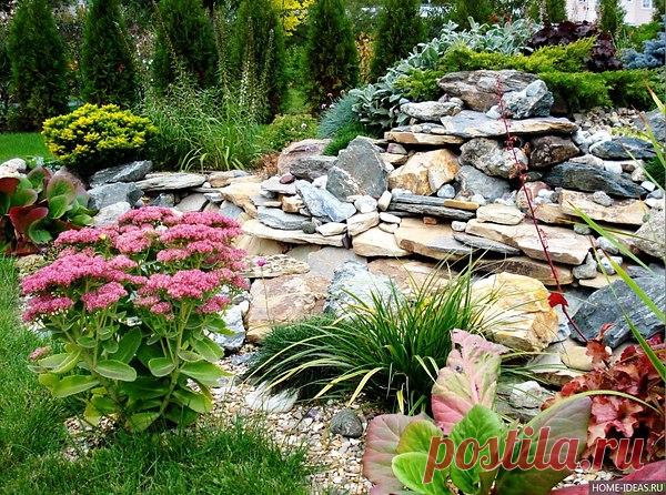 Интересные новости