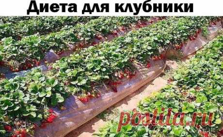 (23) Одноклассники