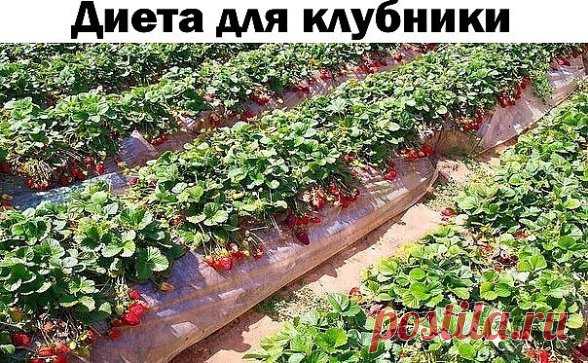 (23) Одноклассники