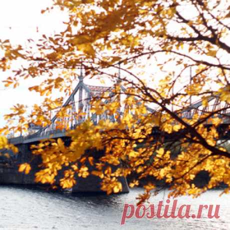 Фотограф Kirmusic - Фото и фотограф на Расфокусе.