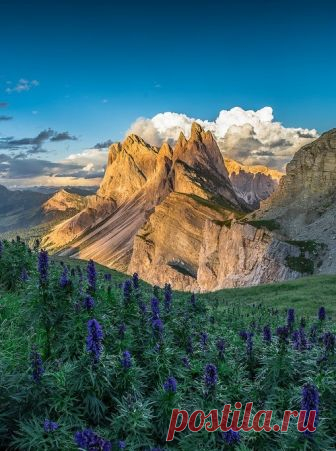 Belle nature