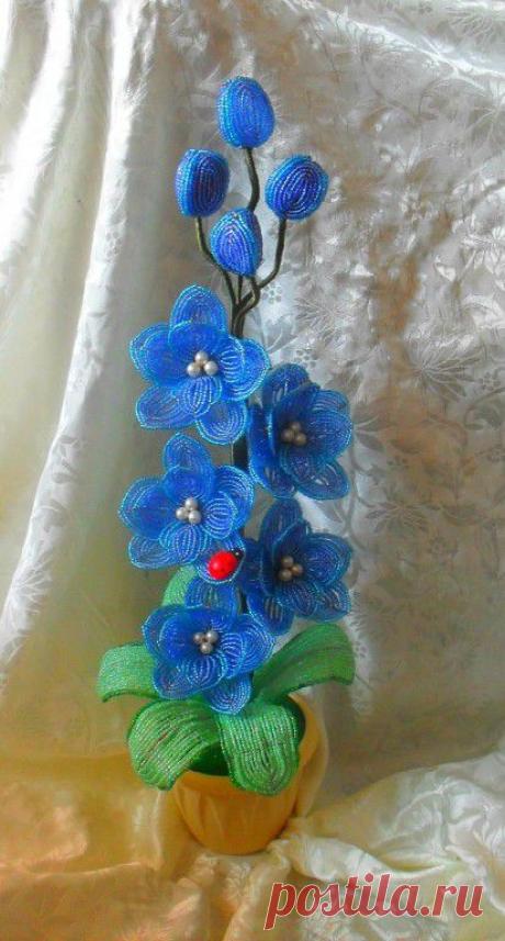 Мелодия бисера.
Екатерина Прибытко(Шурцова)