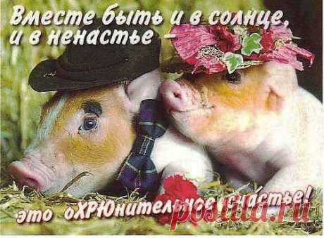 Я вас всех ОБНИМАЮ).