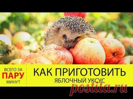 Как приготовить яблочный уксус в домашних условиях? РЕЦЕПТ яблочного уксуса!