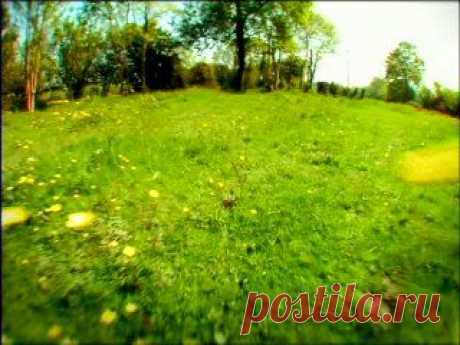 INTERWORLD | Саморазвитие