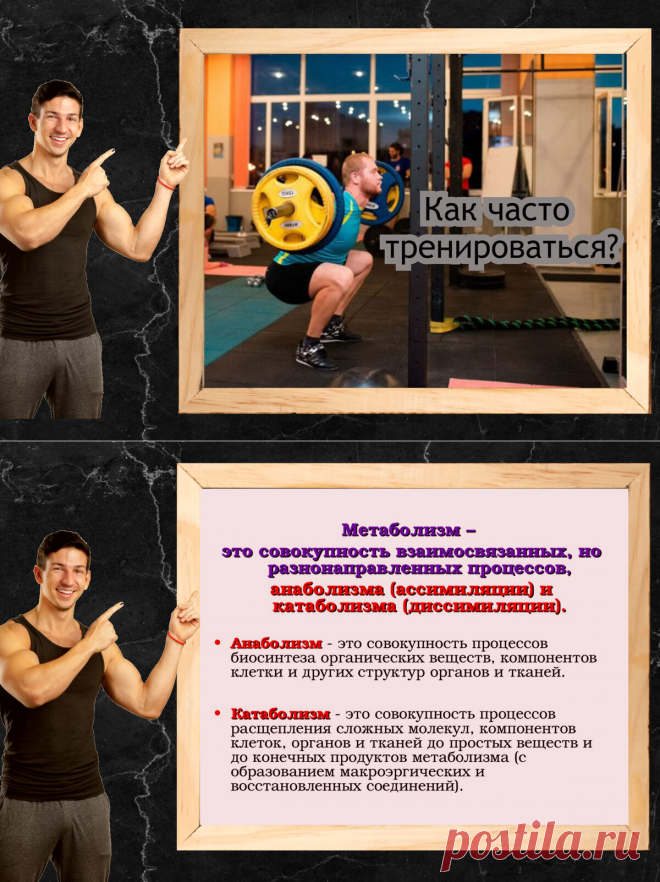 Как часто необходимо тренироваться? 4 фактора которые помогут определиться