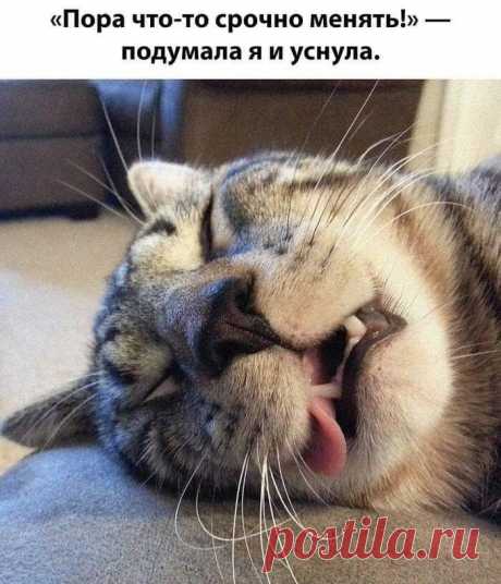 ПИШИТЕ #КОММЕНТАРИИ , ДЕЛИТЕСЬ #ПРИКОЛОМ С ДРУЗЬЯМИ
#ПРИГЛАСИТЕ #друзей в нашу #ГРУППУ #ЮМОРА пусть тоже "ПОРЖУТ"
В ГРУППЕ В 3 РАЗА БОЛЬШЕ ЮМОРА и можно размещать СВОЙ юмор
https://www.odnoklassniki.ru/prikoly.jumor.statusy.dima.cze