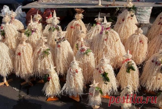 Чичилаки - грузинская новогодняя елка, приносящая удачу - BATUMI-TODAY.COM