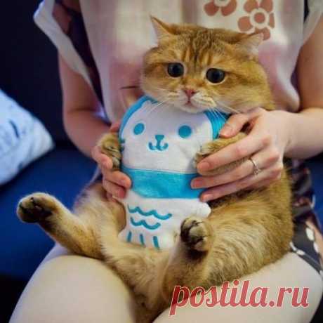 Еды много не бывает..