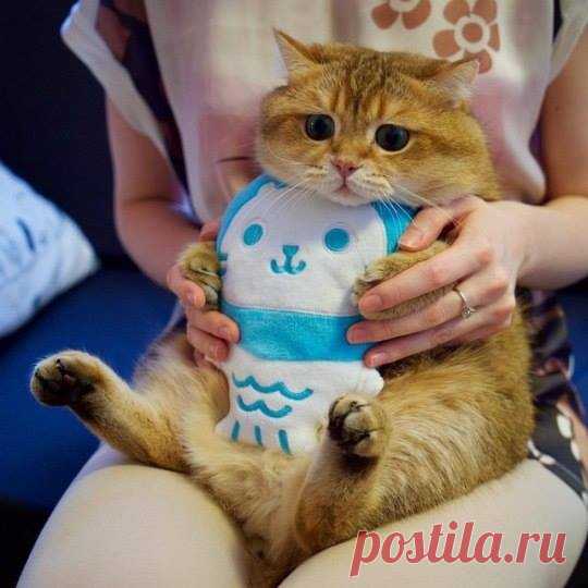 Еды много не бывает..