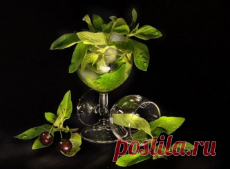 Картинки для декупажа продолжение от хомяка ))