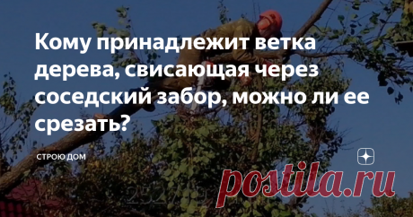 Кому принадлежит ветка дерева, свисающая через соседский забор, можно ли ее срезать? Добрый день, уважаемые читатели!
Отношения между соседями далеко не всегда добрые. Зачастую соседи или просто люди за забором или чего хуже - заклятые враги.
Сегодня нормы и правила проживания в частных домах регламентируют, расстояния от границ участка и построек и наслаждений.
Давайте рассмотрим частный случай.