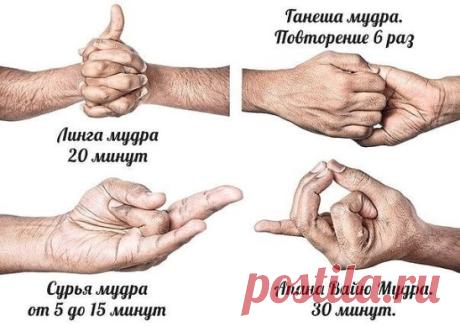 Мудры для здорового сердца.