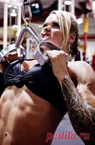 Страна Полезных Советов