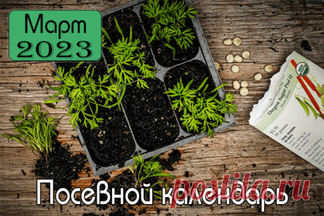 Лунный посевной календарь на март 2023 года садовода, огородника и цветовода