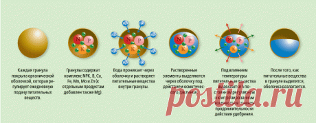 "Долгоиграющие" удобрения - Садоводка