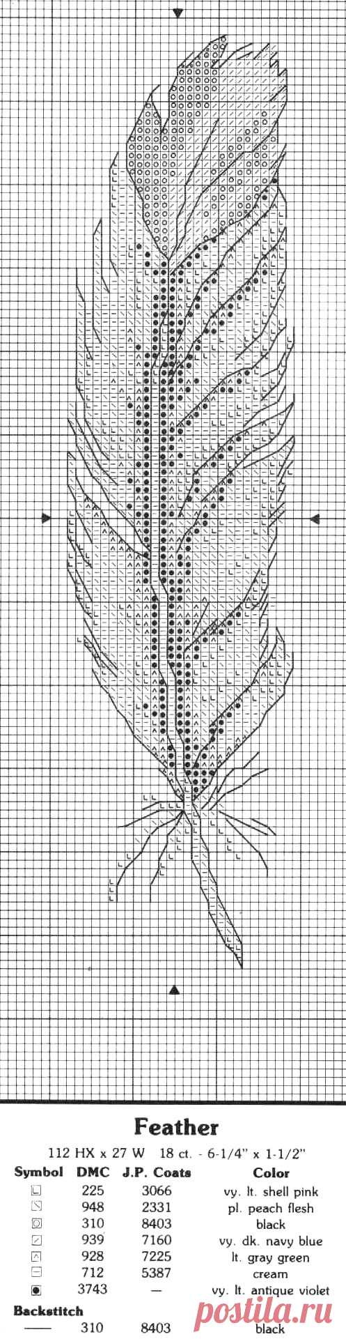 497×1921