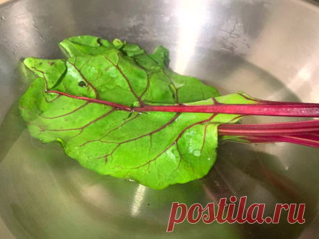 Не выбрасывайте ботву от свеклы! Приготовьте это блюдо | Кухня Технолога | Дзен
