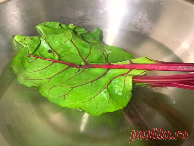 Не выбрасывайте ботву от свеклы! Приготовьте это блюдо | Кухня Технолога | Дзен