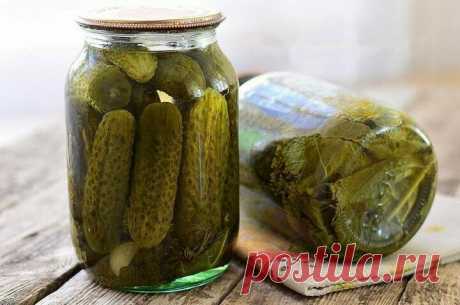 «Сладкие маринованные огурчики | CookLike Рецепты – Еда и вкусные хитрости | Яндекс Дзен» — карточка пользователя Елена в Яндекс.Коллекциях