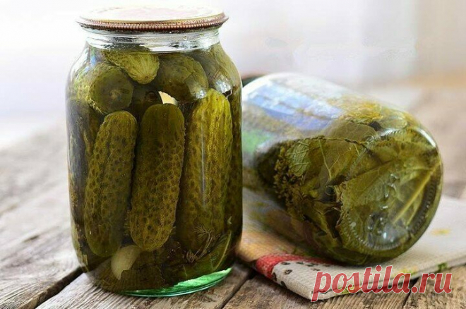 «Сладкие маринованные огурчики | CookLike Рецепты – Еда и вкусные хитрости | Яндекс Дзен» — карточка пользователя Елена в Яндекс.Коллекциях